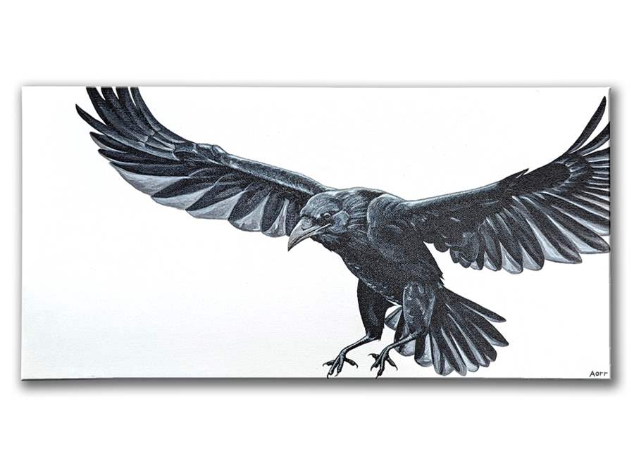 flying raven artist series insomnia restaurant lounge toronto