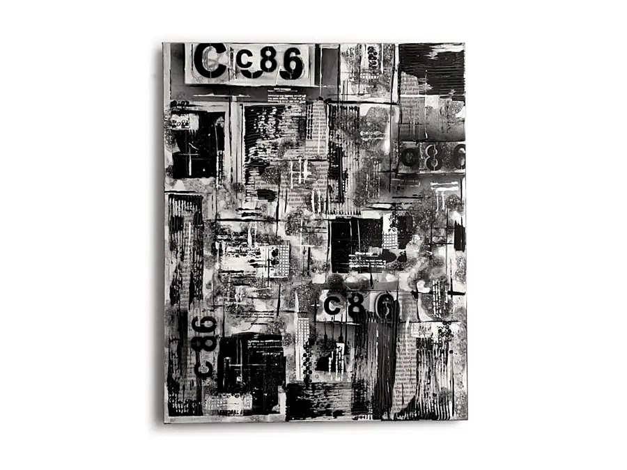 john courtney visual artist