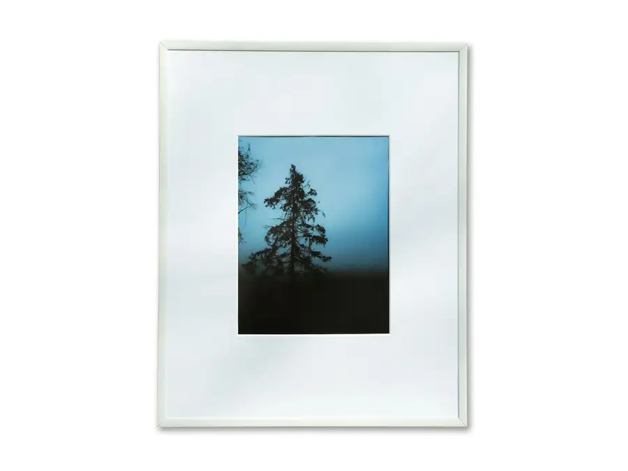 blue pine Michael Bedford visual artist series insomnia restaurant lounge bloor toronto ontario