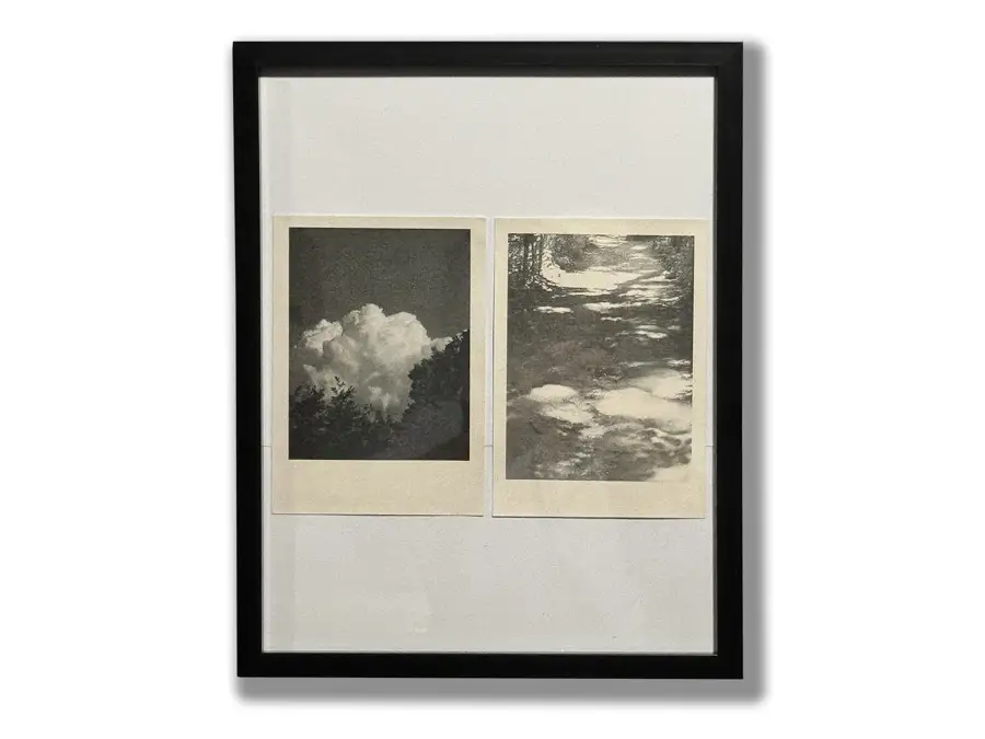 andy walker visual artist series photography insomnia restaurant lounge toronto bloor street