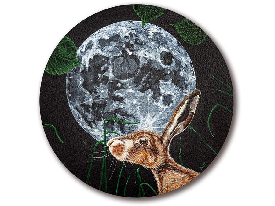 rabbit moon artist series insomnia restaurant lounge toronto