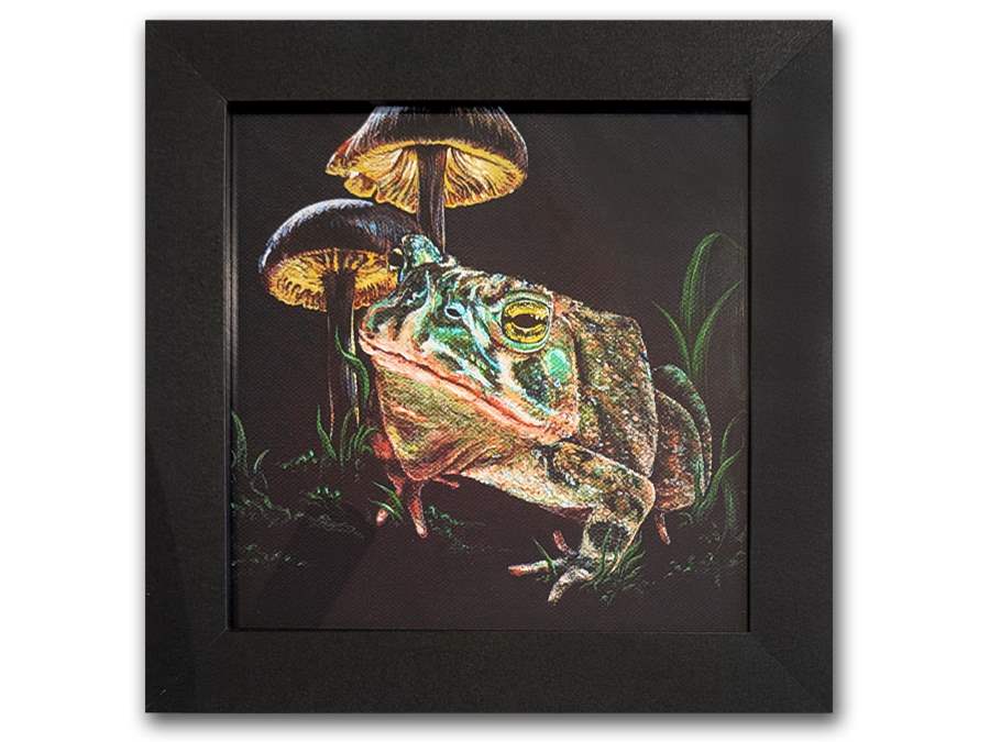 toad forest artist series insomnia restaurant lounge bloor toronto